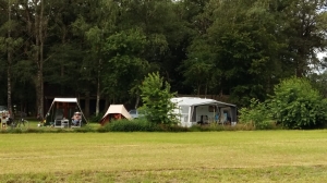 Mooie plaatsen langs de bosrand Uitzicht vanaf de camping 't Olde Baôten in Aalten